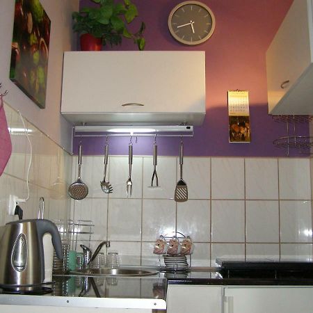 Apartament Dobra Nocka Krynica-Zdrój Extérieur photo
